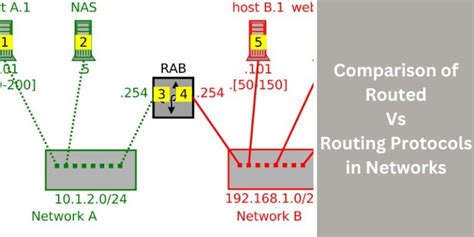 Comparison Of Routed Vs Routing Protocols In Networking