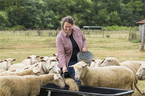 Raising Sheep On A Small Farm