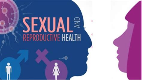 Sexual And Reproductive Health Srh And Srhr Public Health Notes
