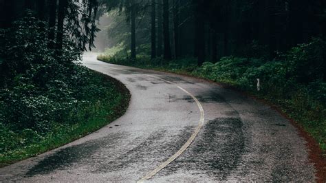 Cloud Forest Road Wallpapers Wallpaper Cave