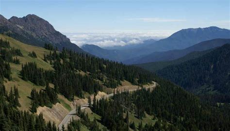 Hiking Hurricane Ridge To Sunrise Point