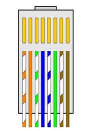 A cat 5 cable contains 8 wires and has a specific wire order. Socket / Plug Wiring Guide | TLC Electrical