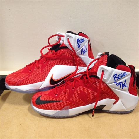You Can Look And Possibly Touch Nikki Bellas Lebron 12s Sole Collector