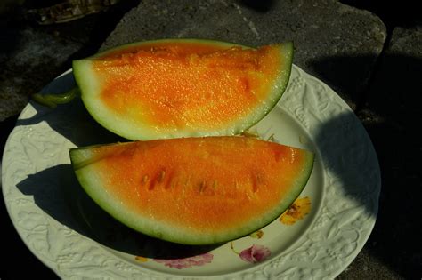 Siberian Orange Watermelon Watermelon Fruit Vegetables