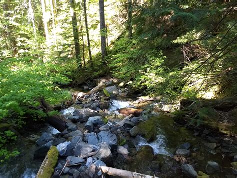 Ford Pinchot Trapper Creek Loop Mary Hikes
