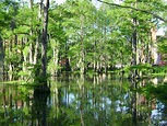 Cypress Lake (Lafayette, Louisiana) - Wikipedia