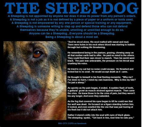 Sheepdogs Police Pinterest Stuffing Police Life And Police Wife