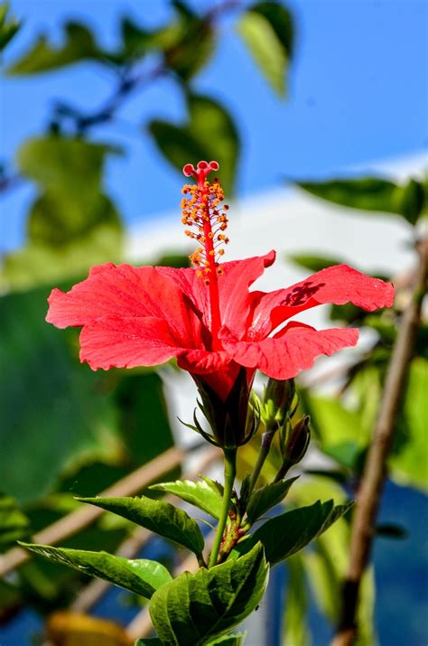 Visualizza altri tour come questo o pianifica il tuo con komoot! wdf - wupper digitale fotografie - Botanischer Garten RUB ...