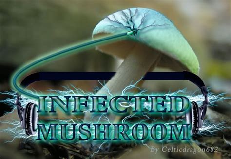 List 75 wise famous quotes about mushrooms: Mushroom Quotes. QuotesGram