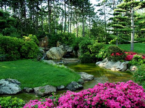 Dabei ist der japanische garten am rhein kein ebenbild eines gartens in japan. Japanischer Garten Düsseldorf | Backyard landscaping ...