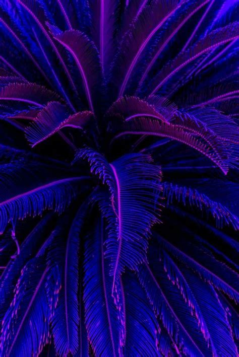 Purple Aesthetic Neon Aesthetic Purple Aesthetic