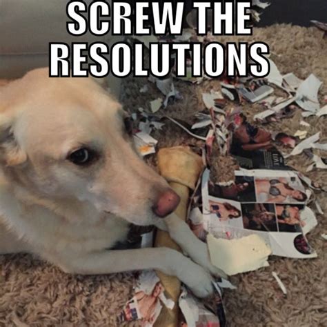 New Years Resolution Meme Dog With Images New Year Resolution Meme New Year Meme Memes