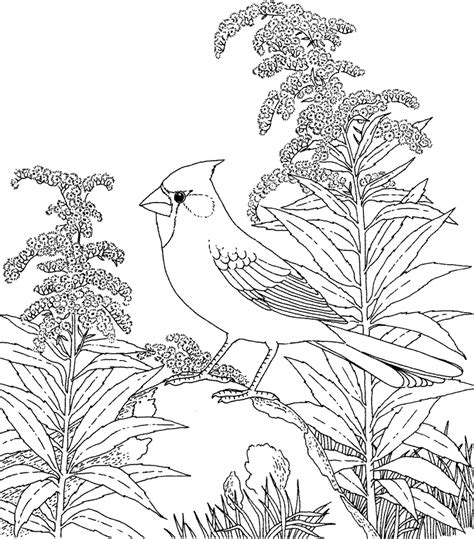 Printable a bird in flowers coloring page. Birds, flowers and Landscapes free printable coloring pages for teens and adults - Colorpages.org