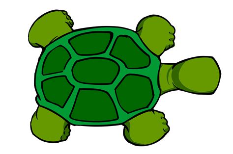 Sea Turtle Shell Clip Art
