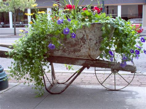 A Wonderful Use For An Old Wheelbarrow Barrel Flowers Wheelbarrow