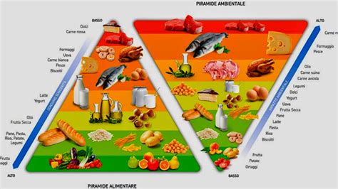 Educazione Alimentare La Dieta Mediterran Mind Map