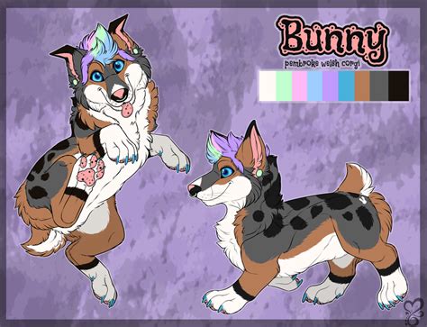 Reference Sheet Bunny By Sushi On Deviantart