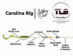 Carolina Rig Diagram | Perch, Pike And Zander Fishing | The Lure Box