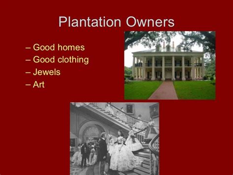 The Plantation System In The Southern United States