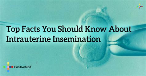 Top Facts You Should Know About Intrauterine Insemination The Best