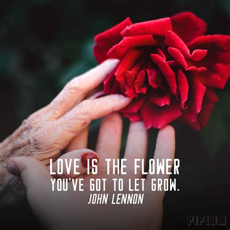 Love is the flower you've got to let grow. John Lennon. Quote about Love. | Piplum