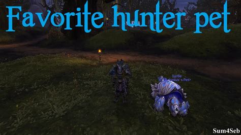 How to get cool looking hunter pet from isle of thunder ...