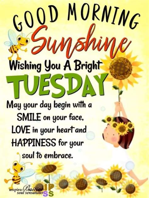 67 Images Of Good Morning Tuesday With The Best Messages And S
