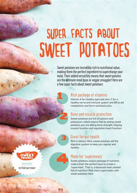 Super Nutritional Facts About Sweet Potatoes Sweet Potato Nutrition