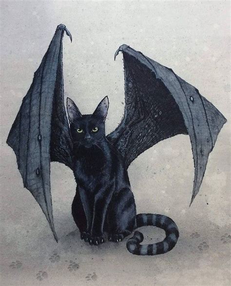 Cat With Bat Wings Иллюстрации кошек Тотемы животных Темный арт