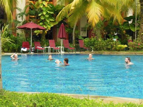 Description of parkroyal penang resort. Swimming pool area - Picture of PARKROYAL Penang Resort ...