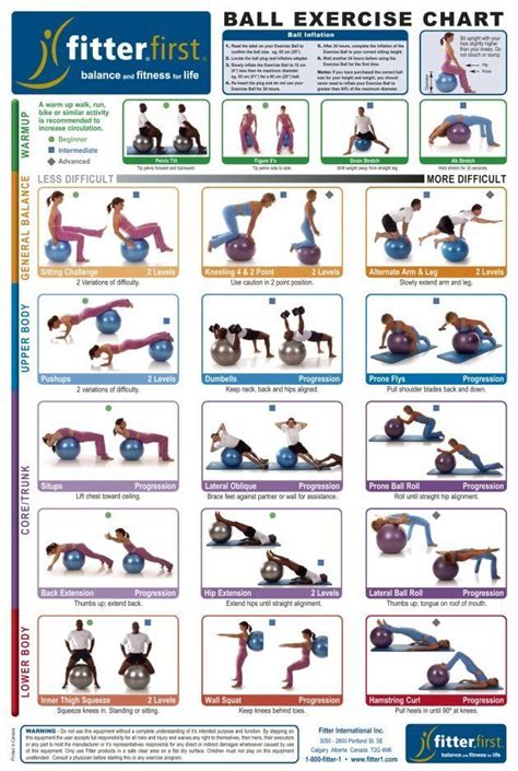 Fitness Ball Exercises For Back Pain Exercise Poster