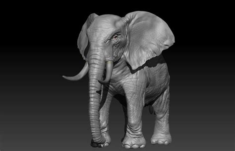 Realistic Elephant Hi Rez With Realistic Skin 3d Model Cgtrader