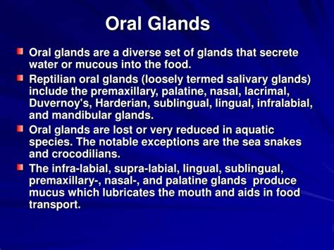 Ppt Oral Glands Powerpoint Presentation Free Download Id9291019