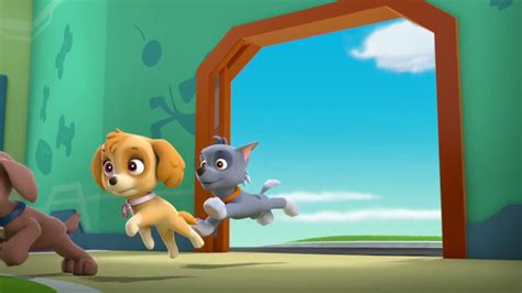 PAW Patrol Marshall S Weekly Wipeouts Pups Save The Runaway