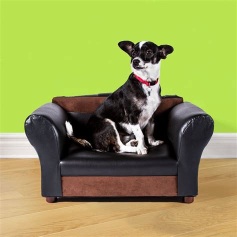 Unique Dog Beds