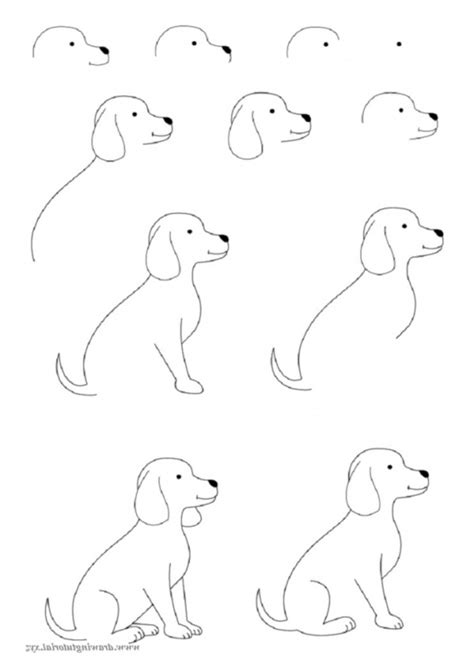 How To Draw Easy Animals Photofun 4 U Com