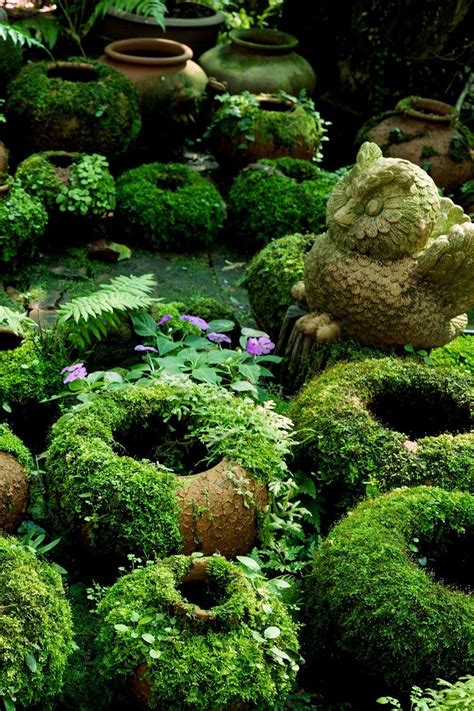 Make Diy Moss Covered Pots With Living Paint Moss Garden Garden