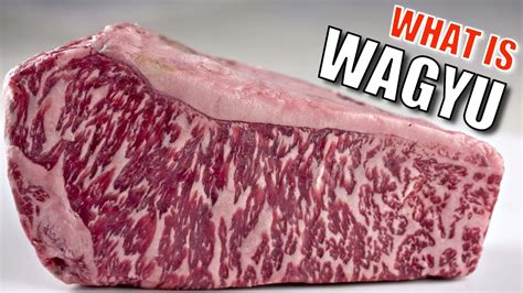 What Is Wagyu YouTube