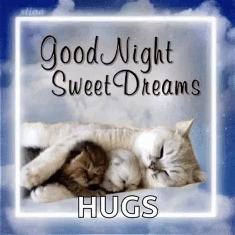 Good Night Sweet Dreams GIF Good Night Sweet Dreams Cats Tumuklas