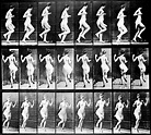 Eadweard Muybridge | Biography, Photography, Inventions, Zoopraxiscope ...