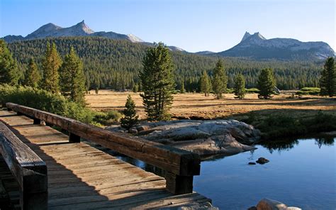 Free Yosemite Wallpaper Tuolumne Meadows