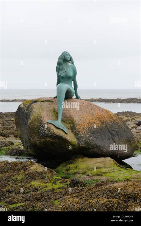 Bronze Mermaid Sitting On Rock Hi Res Stock Photography And Images Alamy