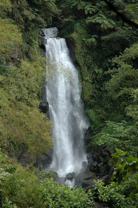 trafalgar falls dominica beautiful waterfalls waterfall around the worlds