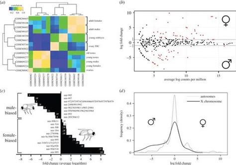 Sex Biased Expression Of Micrornas In Drosophila