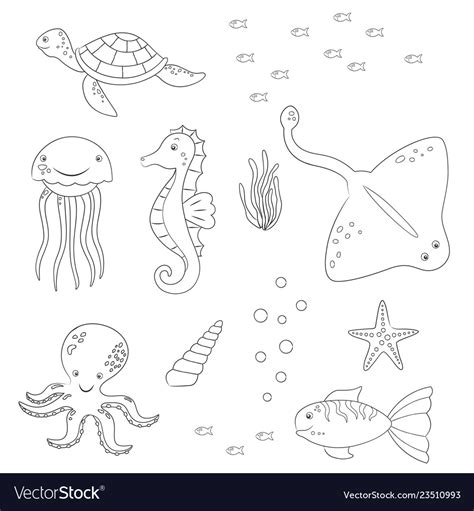 Underwater Animal Coloring Pages