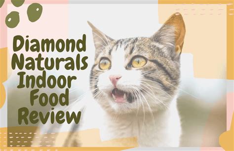 Diamond Cat Food Blue For Cats Dry Cat Food Product Finder Blue