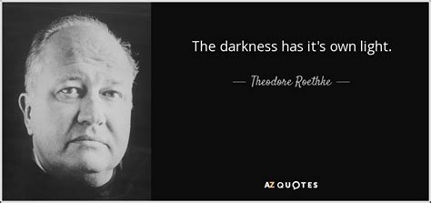 Theodore Roethke Quote The Darkness Has Its Own Light