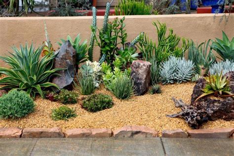 Love This Desert Rock Garden With Aloe Succulents Cactus 11
