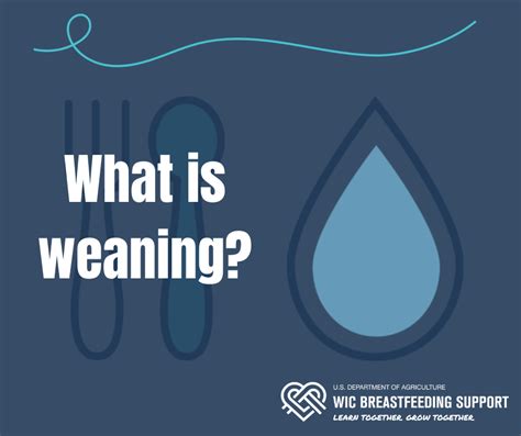 What Is Weaning Wic Breastfeeding Support