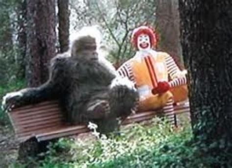 31 Best Images About Humorous Bigfoot Stuff On Pinterest The Internet